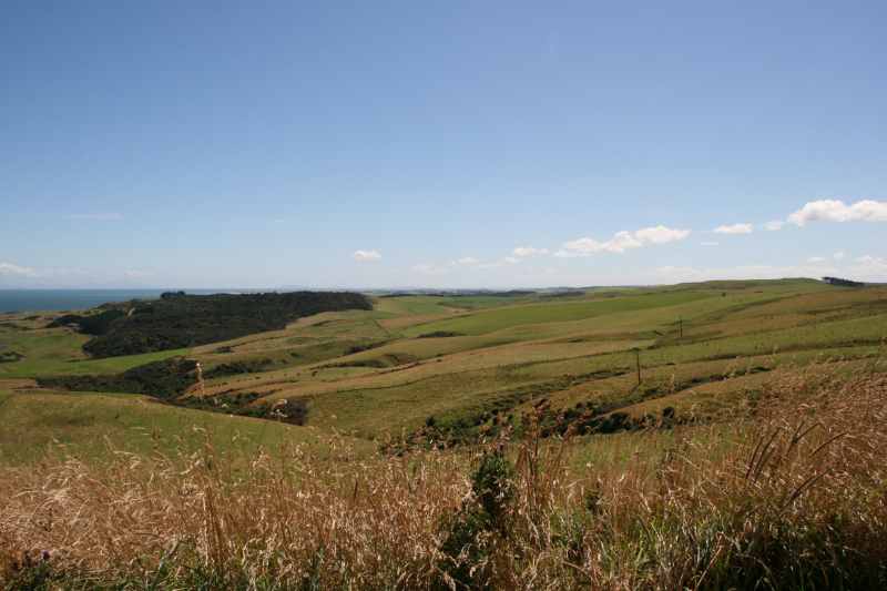 Nieuw-Zeeland 2011 - 1809